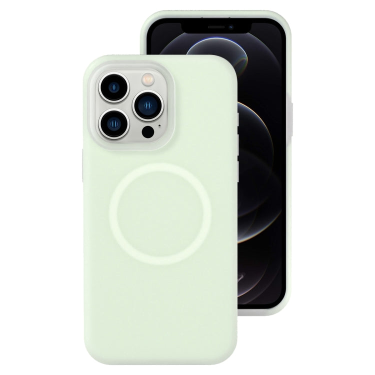 Jelly Liquid Silicone MagSafe Magnetic Phone Case