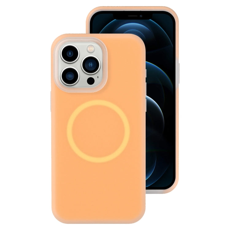 Jelly Liquid Silicone MagSafe Magnetic Phone Case