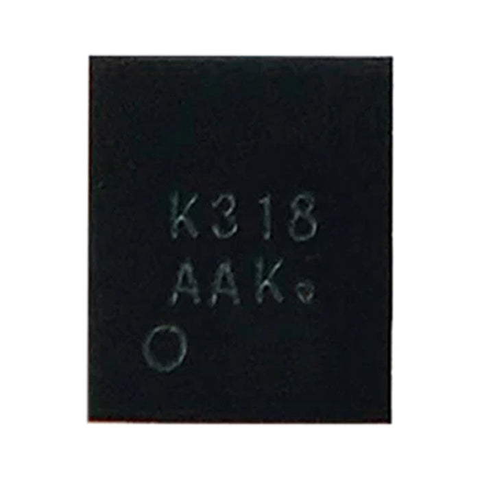 Audio IC Module K318