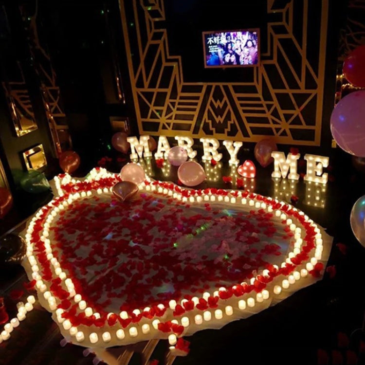 Dry Battery Powered Warm White Standing Hanging LED Holiday Light