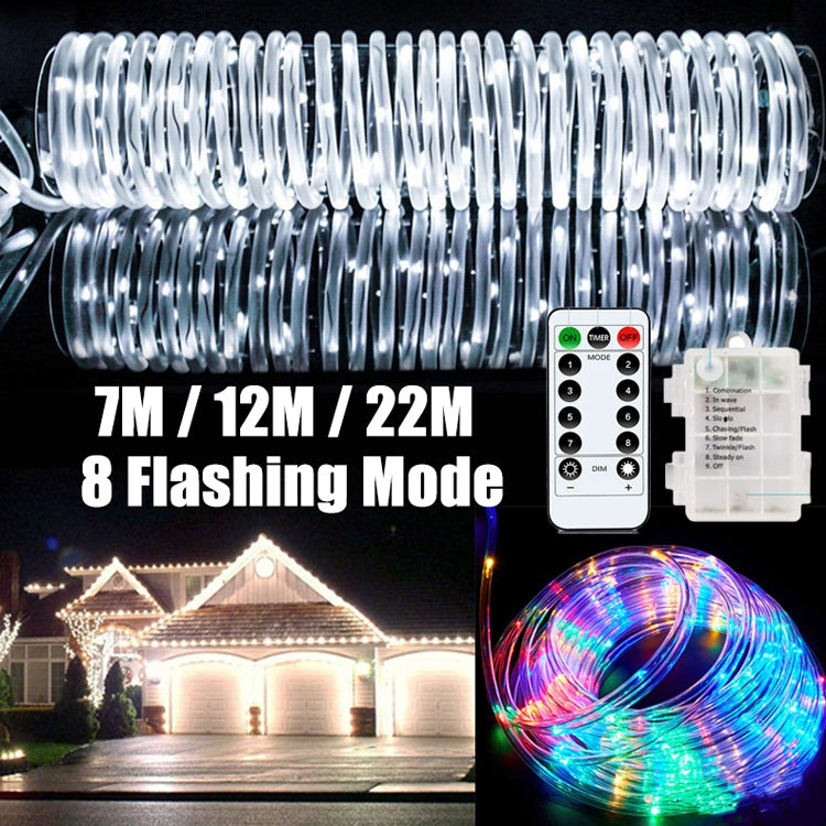 Holiday Party Decoration Tube String Lights LED Garden Decoration Casing Light with Remote Control, Spec: