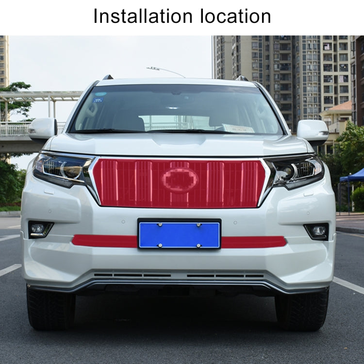 Car Insect Screening Mesh Water Tank Insert Net for Toyota Prado 2018, Water Tank Insert Net