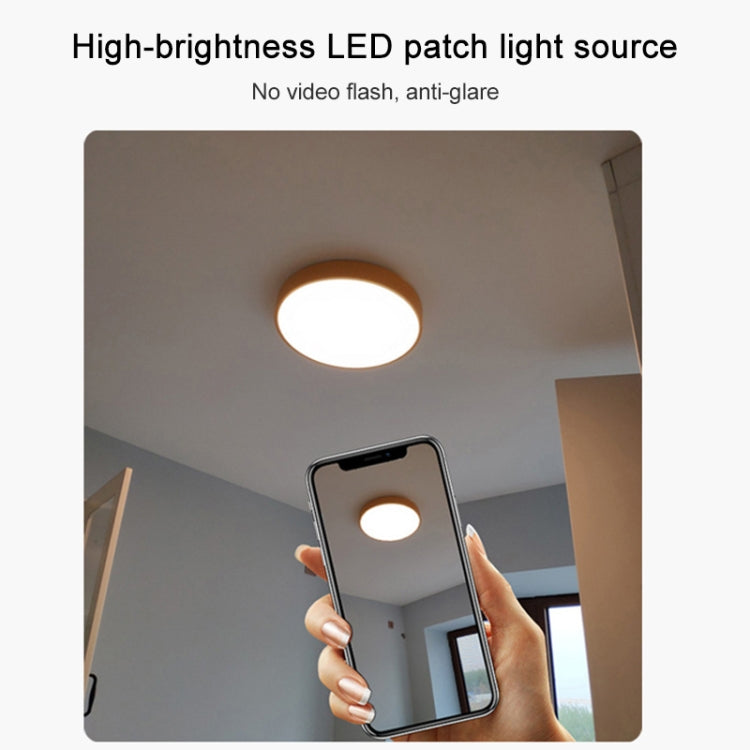 Macaron LED Round Ceiling Lamp, White Light