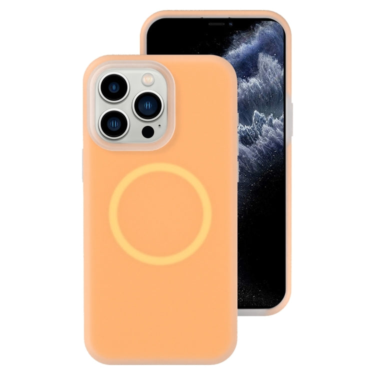 Jelly Liquid Silicone MagSafe Magnetic Phone Case