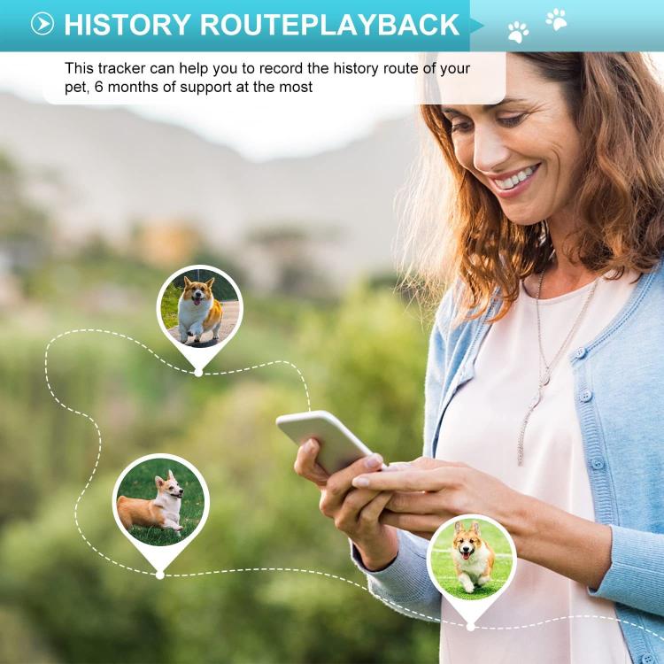 TK919 Dog Collar IP67 Waterproof GPS Locator