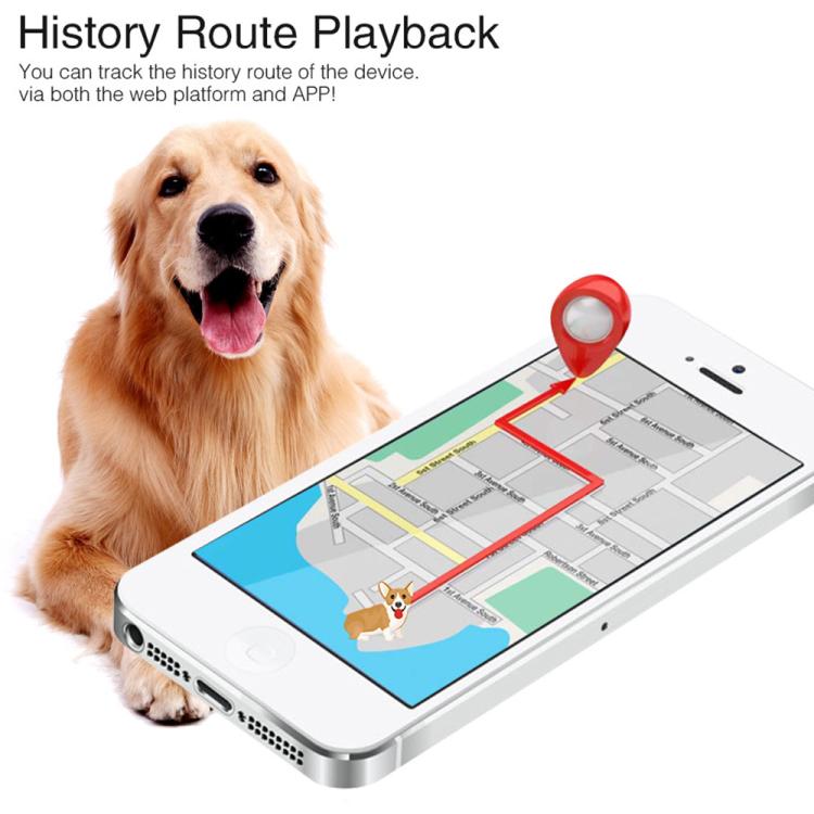 TK919 Dog Collar IP67 Waterproof GPS Locator