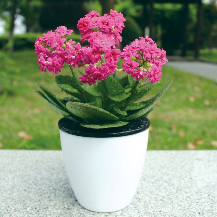 Lazy Flower Pots Automatic Water-absorbing Hydroponic Potted Plants Circular Resin Plastic Flower Pots Double-layer Design Self Watering Planter, Diameter: 12cm, Height: 12.2cm