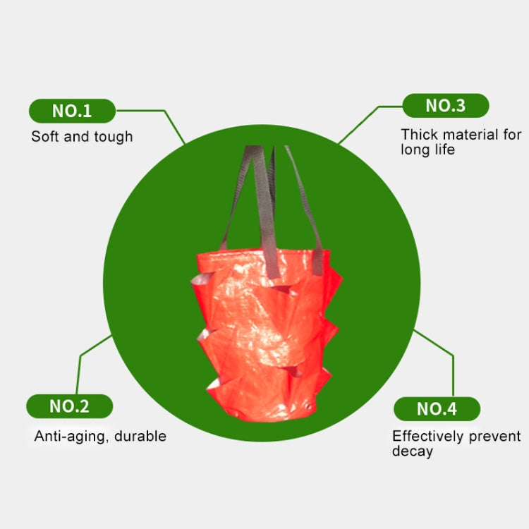 CMD-3 3 Gallon Hanging Strawberry PE Planting Bag Horticultural Flower Planting Bag