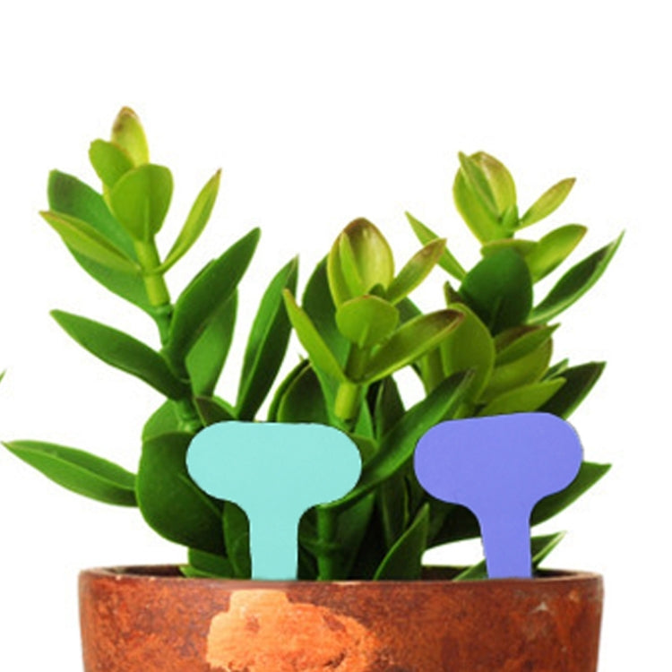 100PCS Floral Label Gardening Label Waterproof small card Insert Label Potted Label,Random Color Delivery