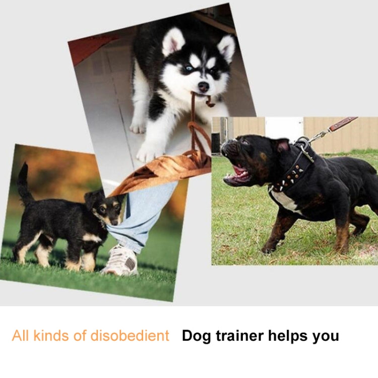 Electric Dog Remote Control Training