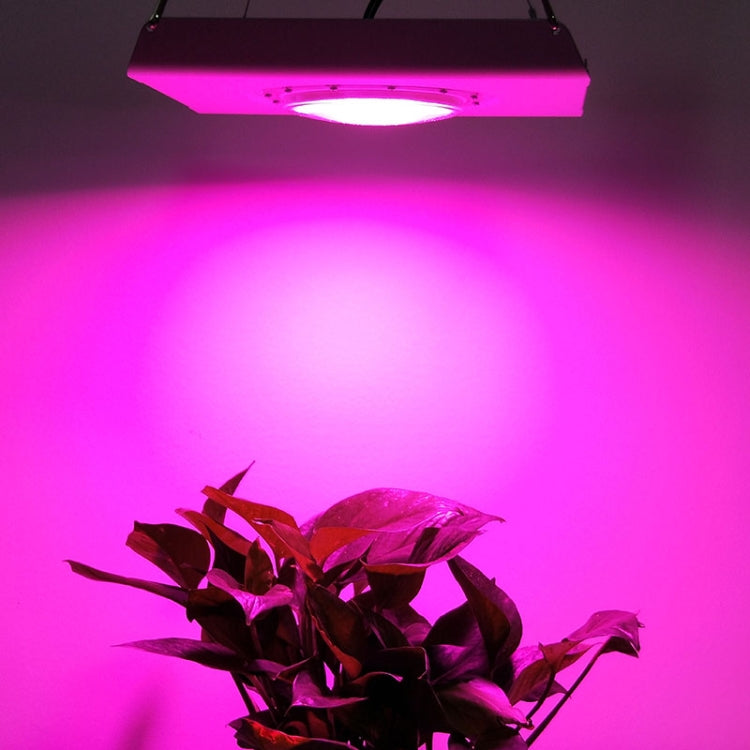 75W Plant Growth Light Ultra-Thin High-Brightness Full-Spectrum COB Indoor Greenhouse Light With Plug