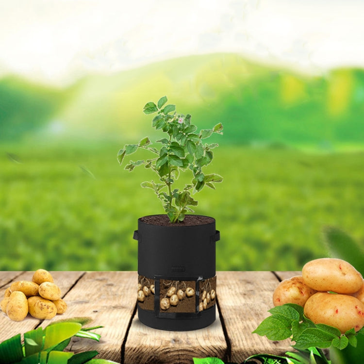 360 Degree Transparent Potato Bag In The Middle Covered Plant Growing Bag