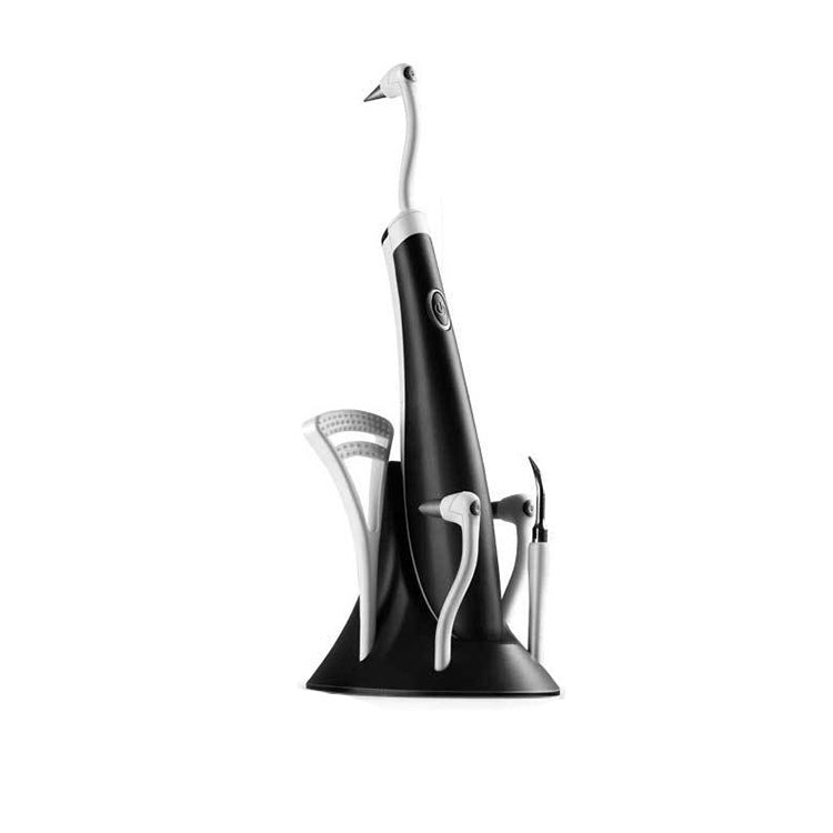 2319-S-51 Household Sonic Scaler Portable Dental Care Tool Dental Cleaning Instrument