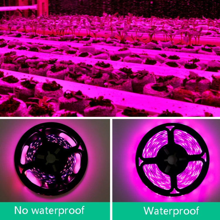 LED Light Strip Planting Filling Light Full Spectroscopy USB Touch Dimming Plant Lamp