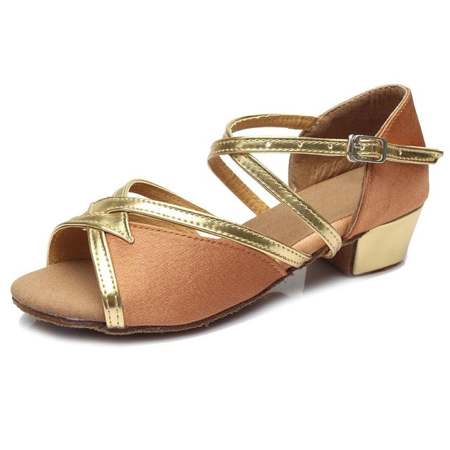 Tango Salsa Latin Low Heel Soft Bottom Dance Shoes for Girls & Women