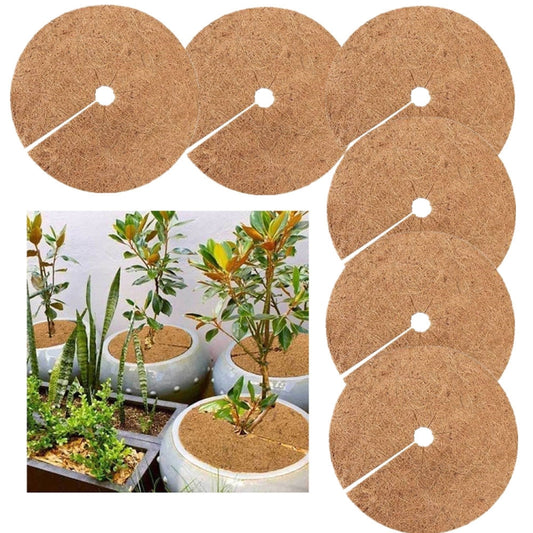 6 PCS/Set Plant Root Antifreeze Flowerpot Coconut Palm Flat Mat, Size: