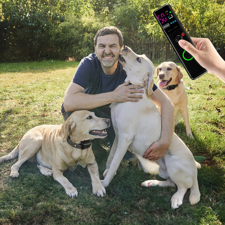 Remote Control Pet Electric Shock Circular Dog Trainer