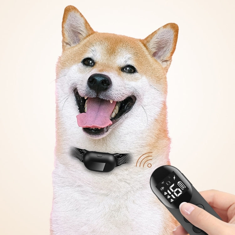 Pet Dog Training Anti-barking Collar Smart Remote Control