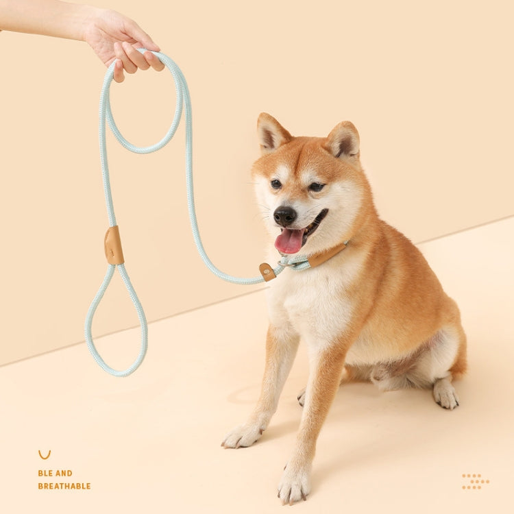 Dog Traction Rope Mid Large Dog Universal Safety Buckle Chain Circle