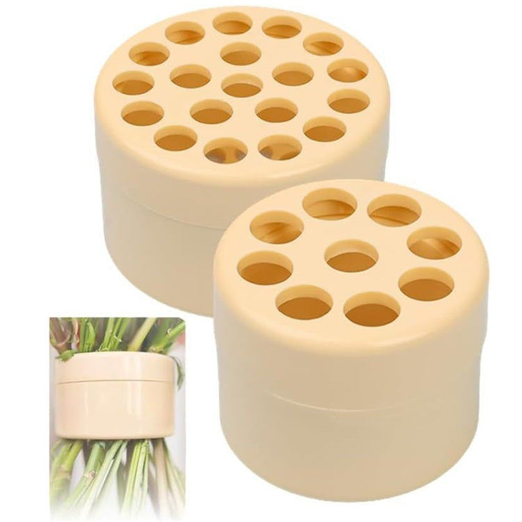 Spiral Ikebana Stem Holder for Vases DIY Bouquet Twister Flower Arrangement Holder