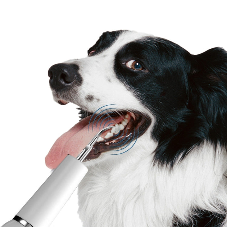 Pet Ultrasonic Teeth Cleaner Dog Electric Teeth Cleaning Tool Home Dentistry Tartar Remover