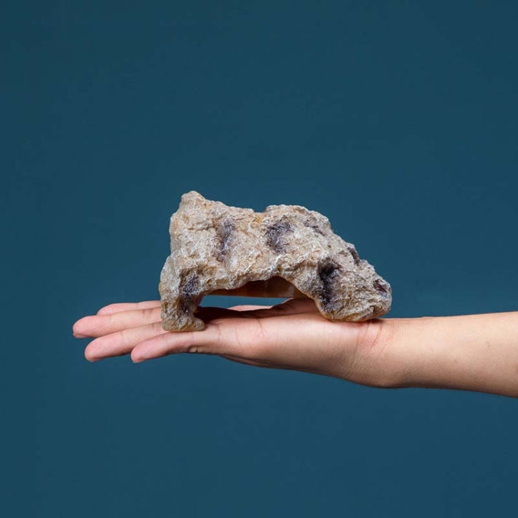 Reptile Simulation Rocks Hideaway House Turtle Sunbed