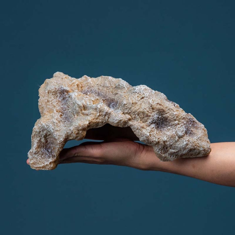 Reptile Simulation Rocks Hideaway House Turtle Sunbed