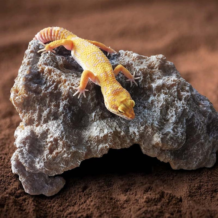 Reptile Simulation Rocks Hideaway House Turtle Sunbed