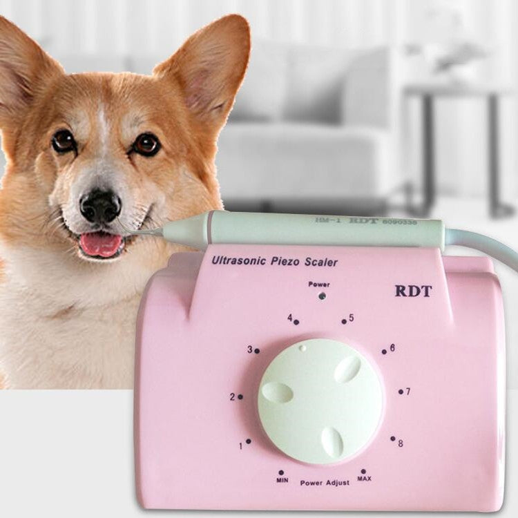 Ultrasonic Dental Washing Machine for Pet Dog Teeth Stone Remover