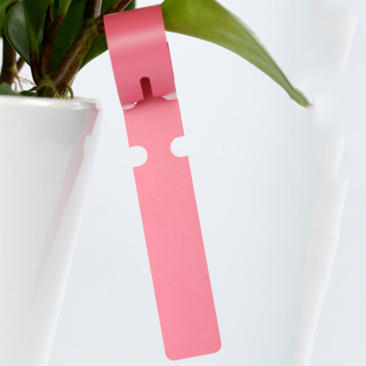 100 PCS Gardening Plant Sapling Seed Hanging Tree Label