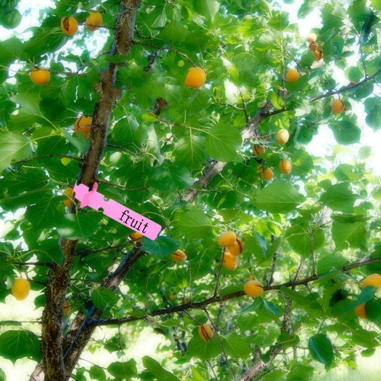 100 PCS Gardening Plant Sapling Seed Hanging Tree Label