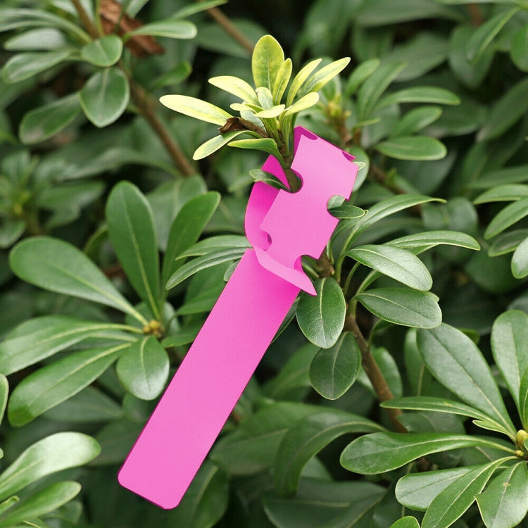 100 PCS Gardening Plant Sapling Seed Hanging Tree Label