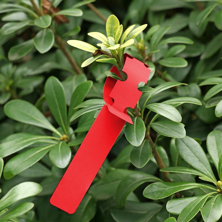 100 PCS Gardening Plant Sapling Seed Hanging Tree Label