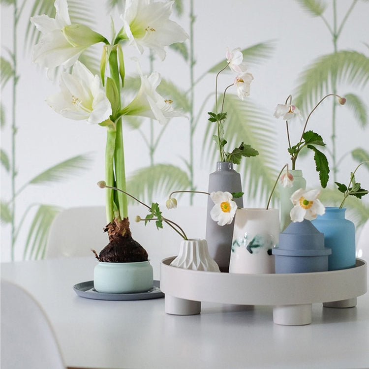 Multifunctional Storage Fruit Tay Cup Perfume Debris Desktop Decoration Plate Tray