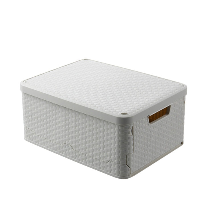 Collapsible Finishing Dormitory Wardrobe Plastic Storage Box with Cover Lip